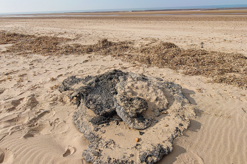 Teams in West Norfolk recover almost a million plastic nurdles