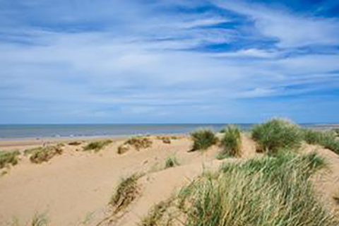 Norfolk Wildlife Trust Holme Beaches access for dogs consultation