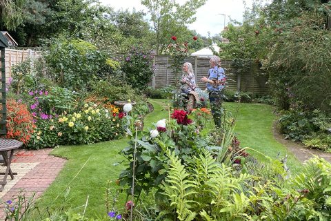 Dersingham Open Gardens delight visitors
