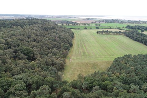 Last chance to express interest for rural business growth grants