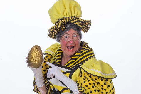 Panto at the Princess this Christmas - oh yes it is!