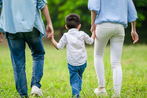 Call for more Norfolk adopters