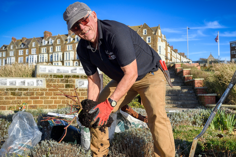 ‘With Courage’ rose will bloom for Hunstanton RNLI