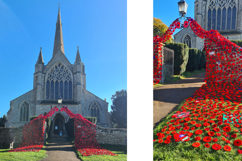 Awash with Poppies