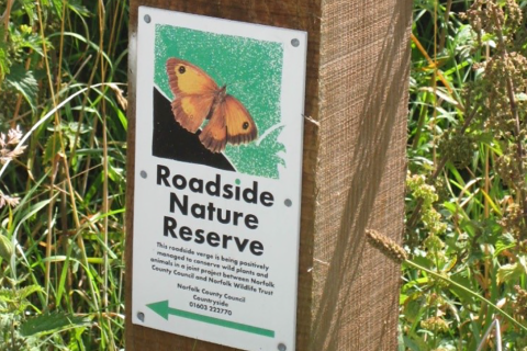 Buzz created as pollinator paradises set for Norfolk roadsides