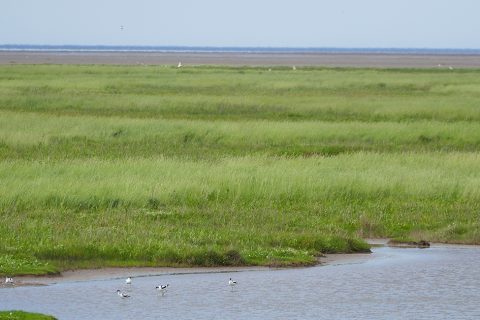 England Coast Path: Proposals published for fourth stretch in Norfolk and third in Lincolnshire