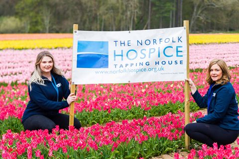 The Norfolk Hospice celebrates record-breaking tulip fundraiser