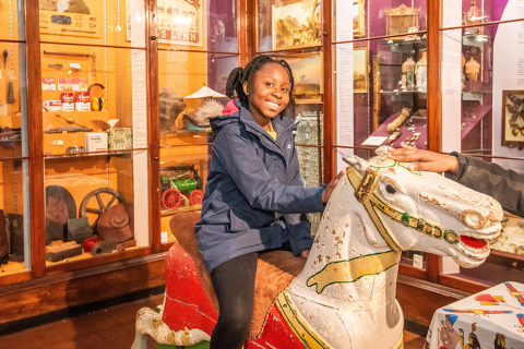 Blockbuster summer of events at Lynn Museum