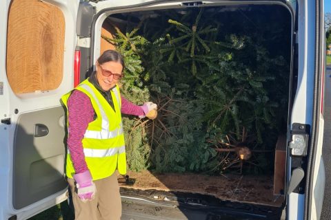 Tree-mendous success for The Norfolk Hospice