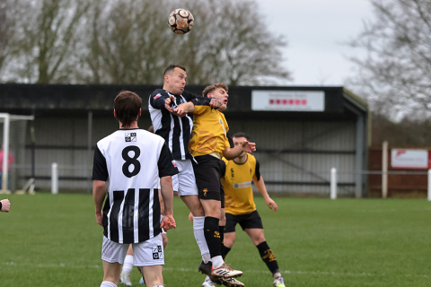 Christmas Sports Update
